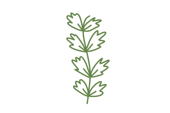 Botanic SVG: Elegant Floral Designs for Every Project