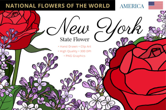 Discover the Beauty of New York State Flower and Beyond