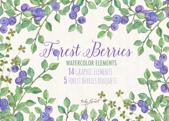 Enhance Your Creative Projects with Forest Berries - Watercolor Clipart