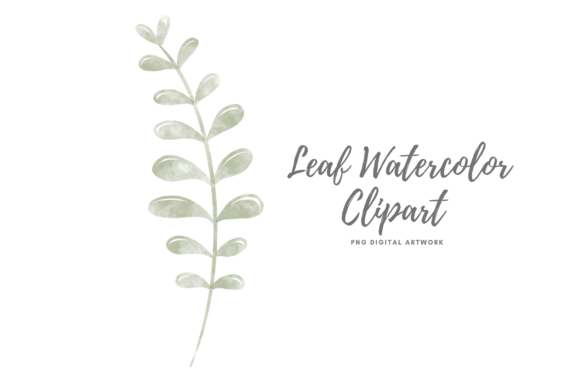 Explore Creative Possibilities with Watercolor Leaves PNGs