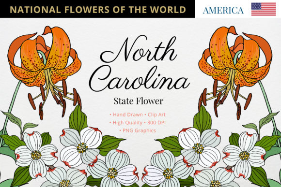 Exploring the Beauty and Significance of the North Carolina State Flower
