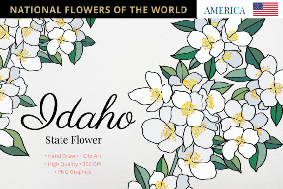 Exploring the Beauty and Versatility of Idaho's State Flower: The Syringa
