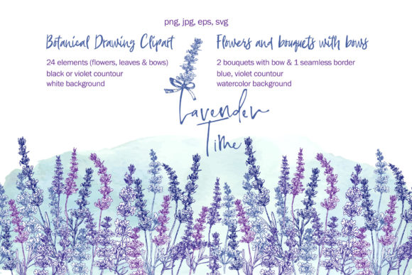 Exploring the Versatility of Hand-drawn Lavender Flower, Bouquets
