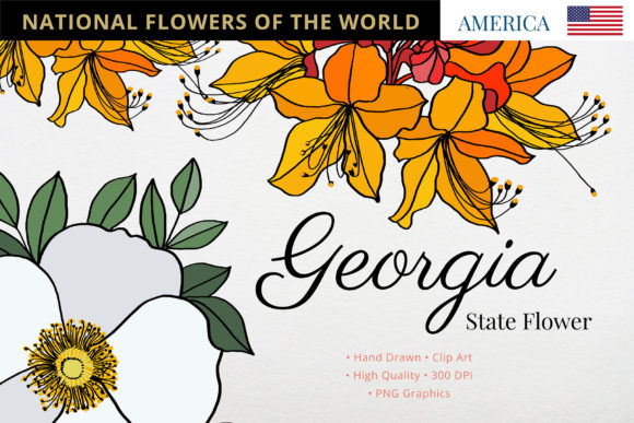Georgia State Flower: A Symbol of Beauty