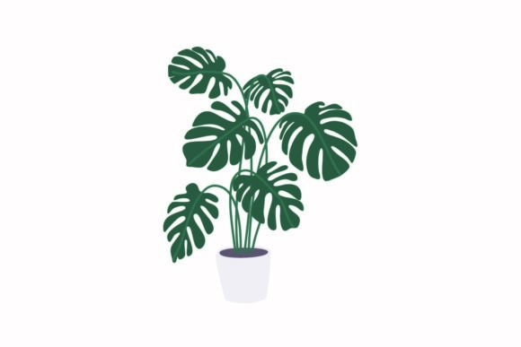 Transform Your Space with Home Plants: A Guide to Greenery and Decor
