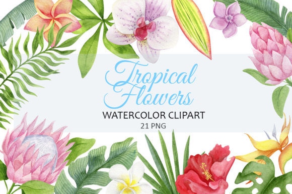 Tropical Flowers and Leaves: Perfect for Creative Projects