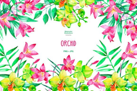 Watercolor Orchid and Zephyranthes