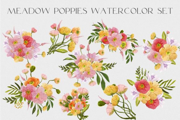 Watercolor Set Flower Meadow Poppies PNG