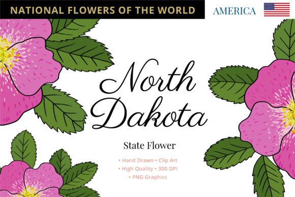Wild Prairie Rose: North Dakota's State Flower
